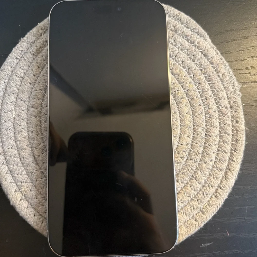 Apple iPhone 15 pro max in titanium White